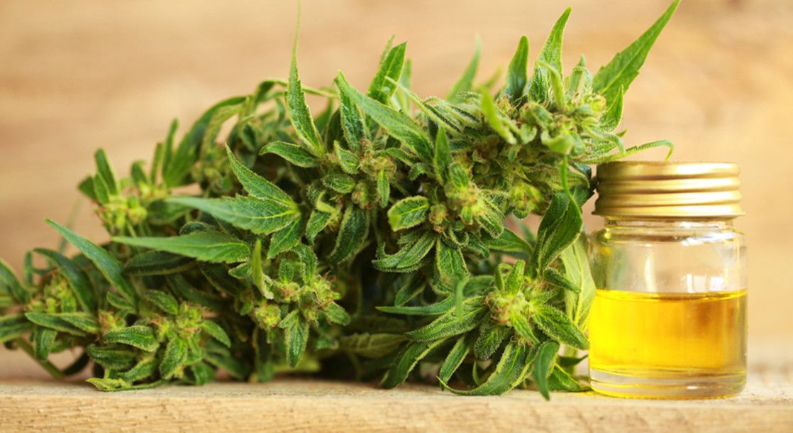 Hemp CBD Oil vs. Weed CBD Oil: How Are They Different?