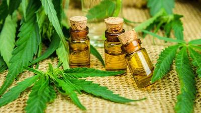 1554158062091_Cannabis-Oil-Health-Benefits-640x360.jpg