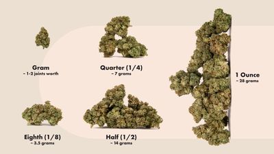 Weed 101: What Are the Average Prices for Pot by Weight?
