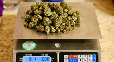 How Many Ounces Are in a Quarter Pound of Weed?