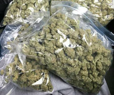 1602791120566_quarter-pound-of-marijuana.jpg