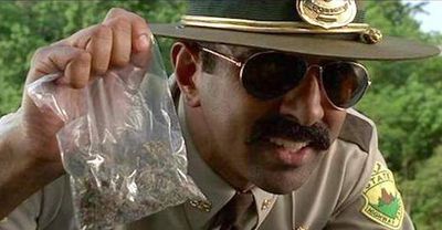 1602797922476_man-asks-for-weed-back-cops-give-it-to-him.jpg