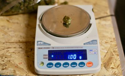 How Much Is a Gram? Weed Measurements, Pricing, and Visual Guide