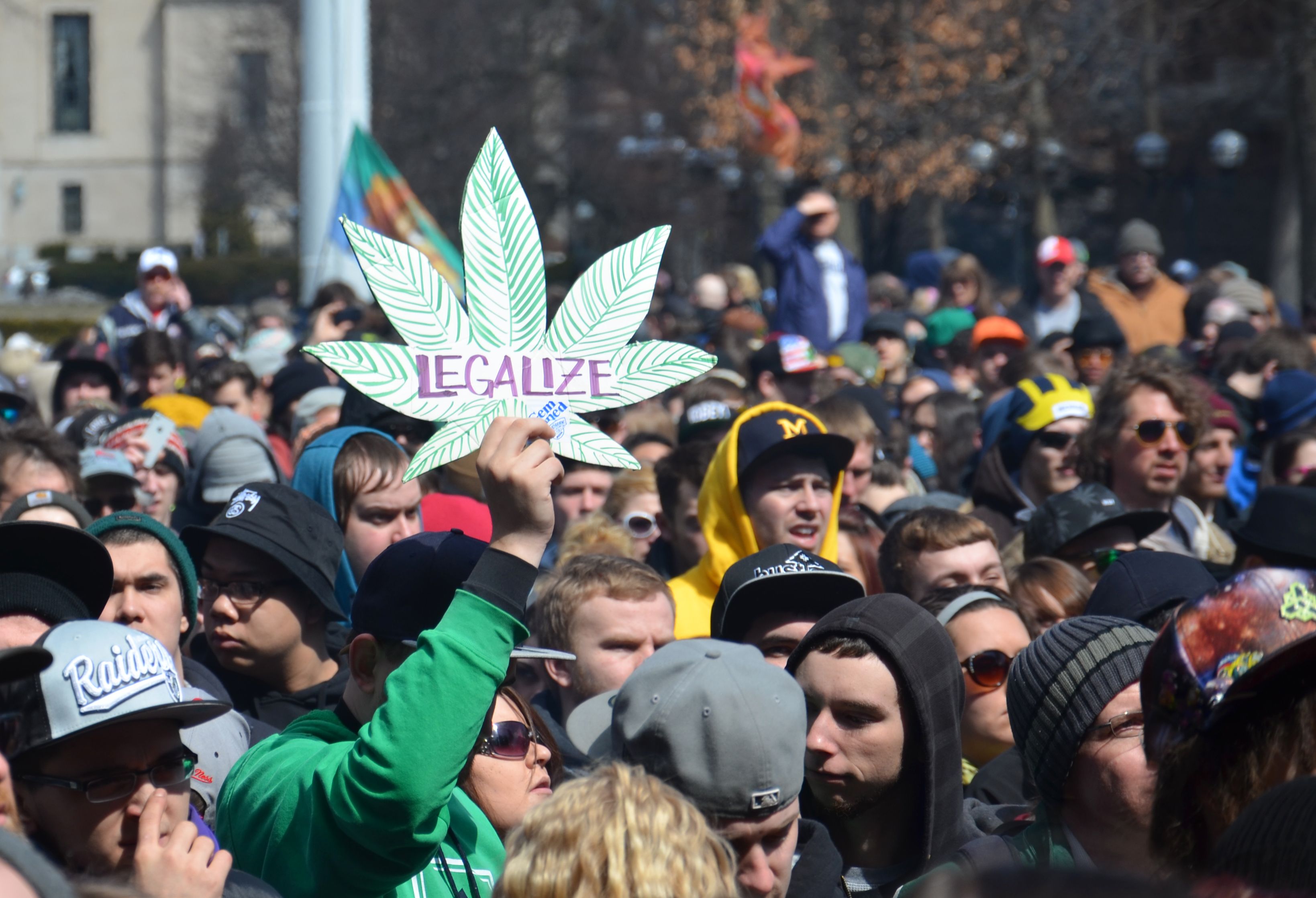 photo of 75% of American Voters Officially Support Adult-Use Weed Legalization, Survey Says image