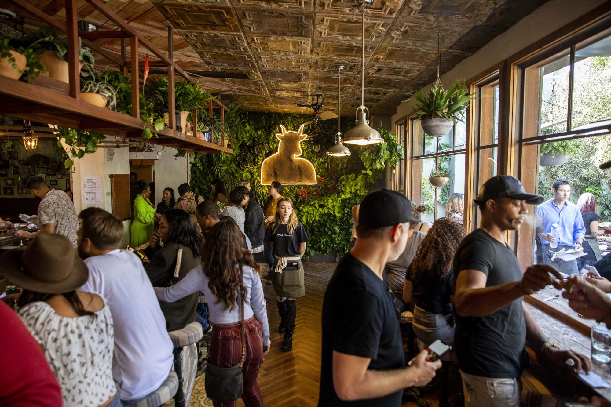 Visit These Cannabis Lounges Around the World